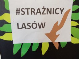 2025-09-18 Przytul się do drzewa